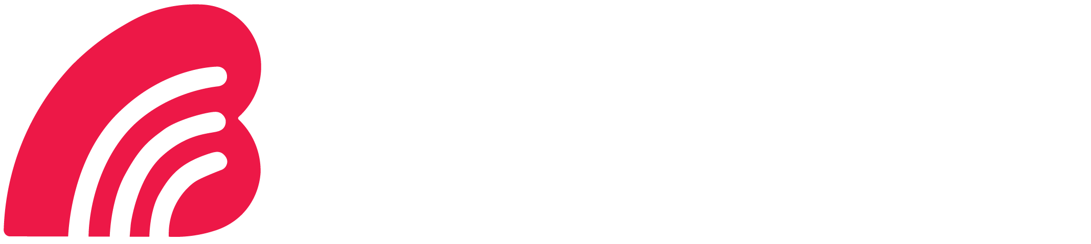 Bangalore Broadband Network Pvt Ltd (BBNL)