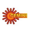 GEMINI