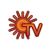sun tv
